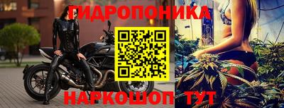 альфа пвп Аргун