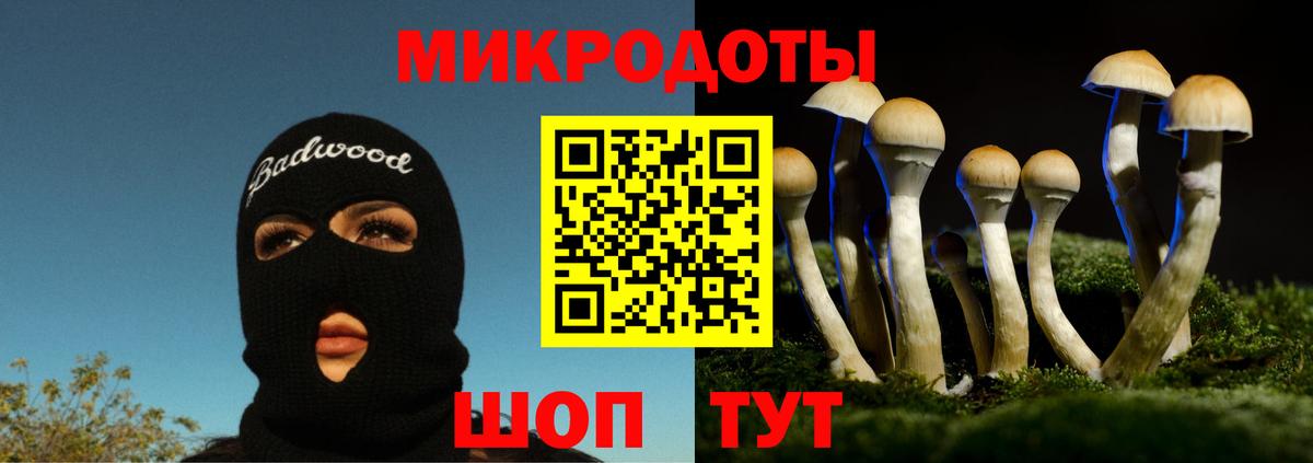 Галлюциногенные грибы Psilocybe  Вход с VPN  Белебей  Галлюциногенные грибы ЛСД 
